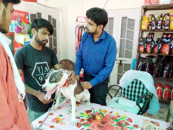 Dr. Kshitij Goswami Dog Clinic