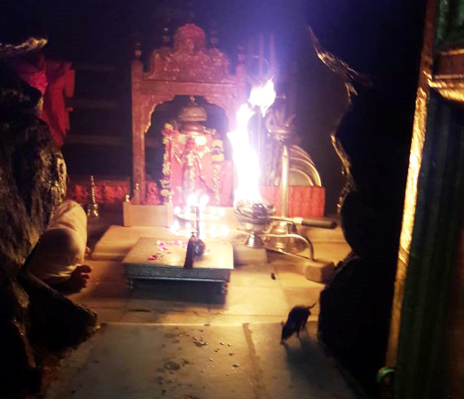 Karni mataji Temple Desnok Bikaner