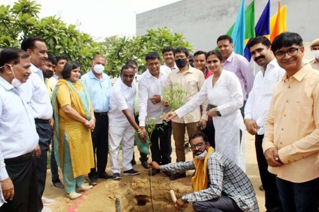 Tree plantation done in memory of Sohanlal Gattani