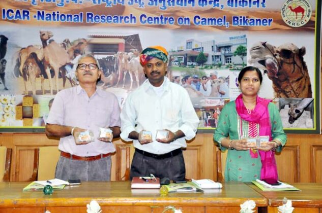 NRCC scientists made camel milk and millet mixed biscuits, cookies in Bikaner