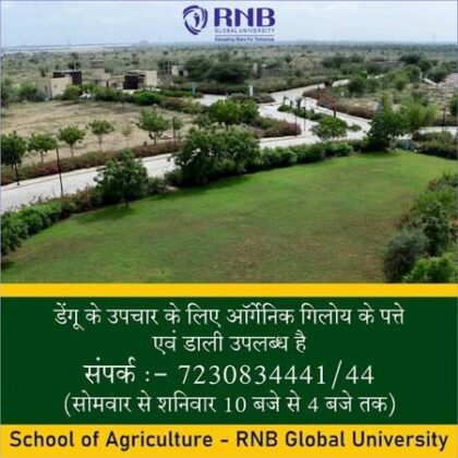 RNB Global University Bikaner