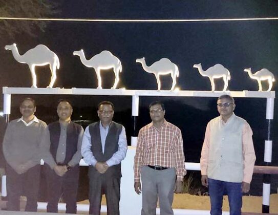 NRCC initiative to promote camel eco-tourism in Bikaner