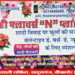 Juhi Flowers