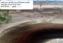 underbridge of Bikaner