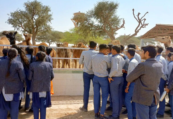 Camel Research Center Bikaner