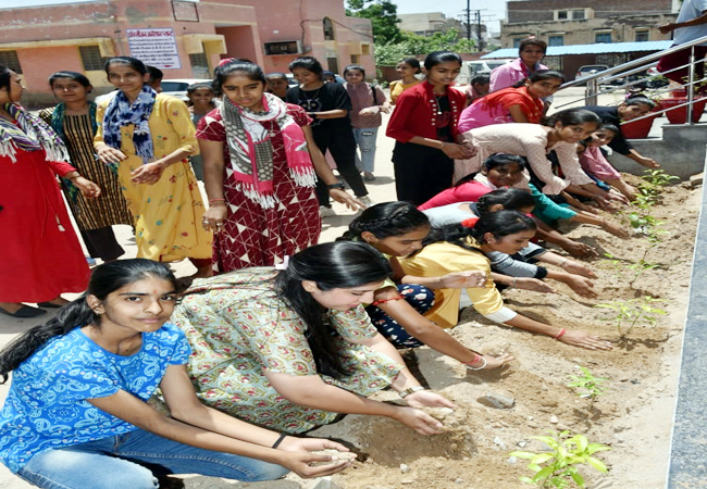 planted in satellite hospital bikaner