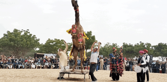 Camel Festival Bikaner