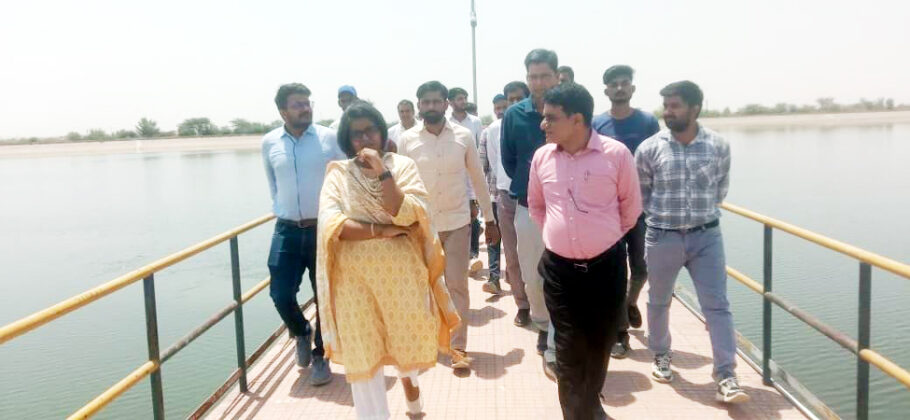 Namrata Vrishni Collector