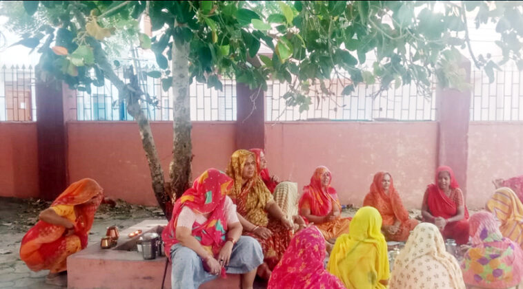 Peepal Purnima in bikaner