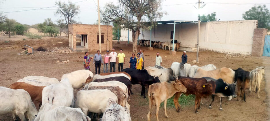 bikaner seva yojana