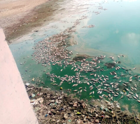 Kodmadesar Temple Pond in Bikaner District