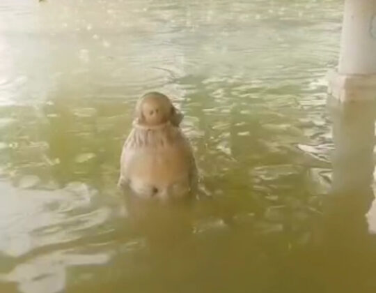 Kapil Sarovar Kolayat