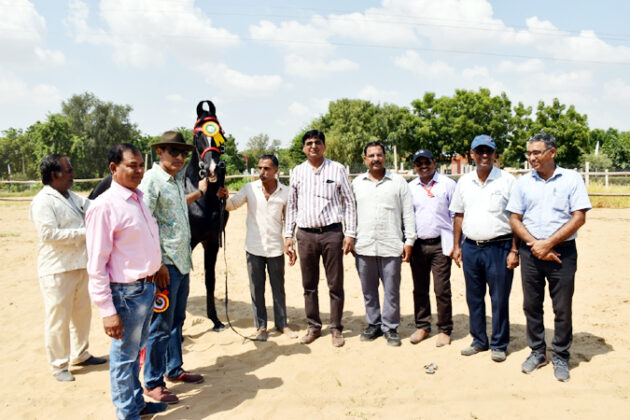 National Research Centre on Horses, Bikaner