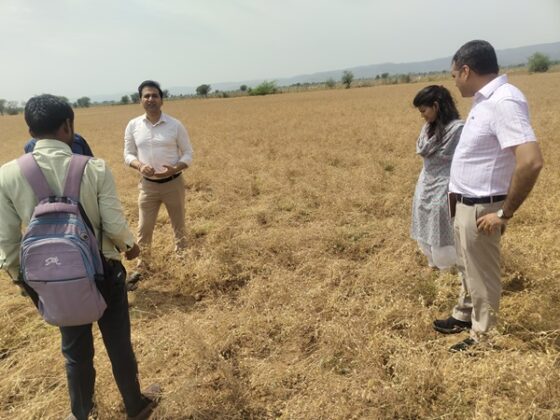 Crops damaged due to hailstorm, rain and storm, officers reached the fields, gave these instructions to insurance companies...