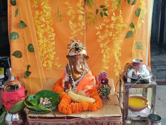 Five day long Gaumay Cheerful Ganesh Utsav in Sadul Colony