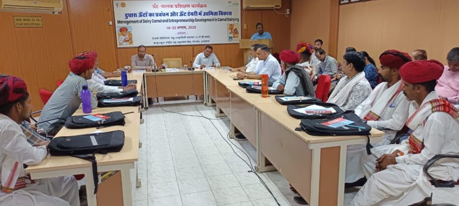 nrcc bikaner