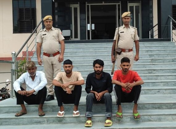 kotputali crime