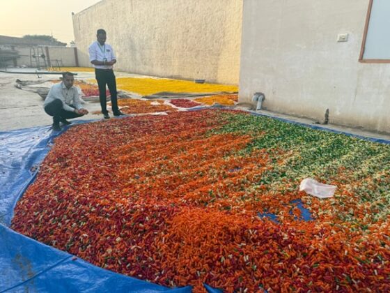 bikaner mai milawat