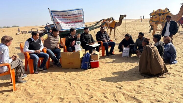 National Camel Research Center (NRCC), Bikaner