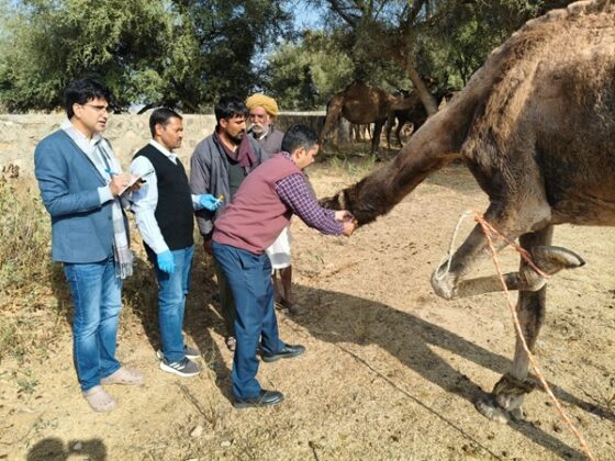 National Camel Research Center (NRCC) Bikaner Team
