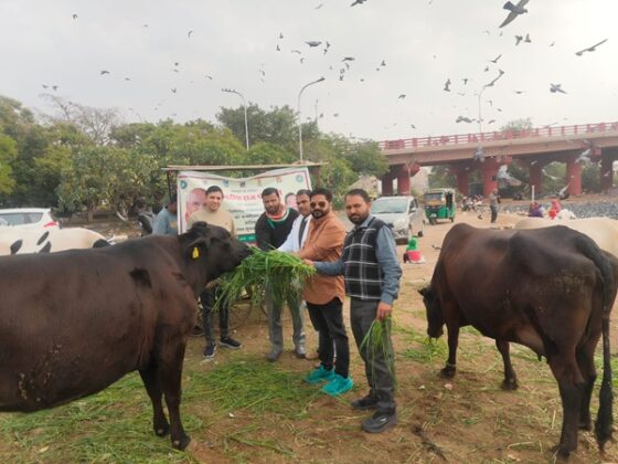 National Trade Union 'INTUC'