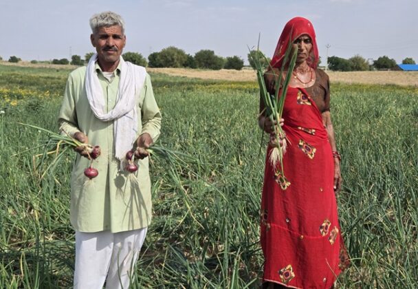 Onion Growers in Bikaner