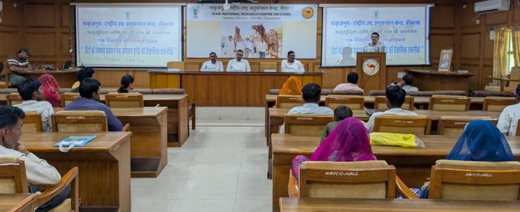 nrcc bikaner