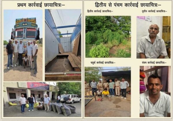 antf