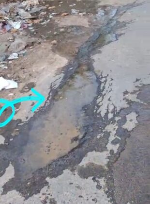 chorulal suthar bikaner