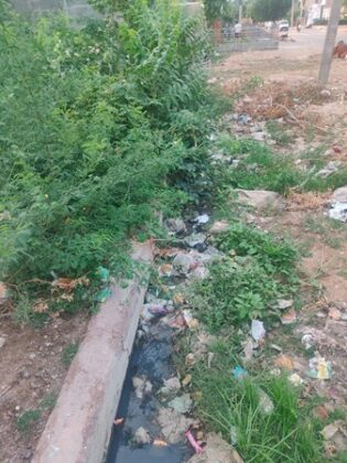 mdv colony