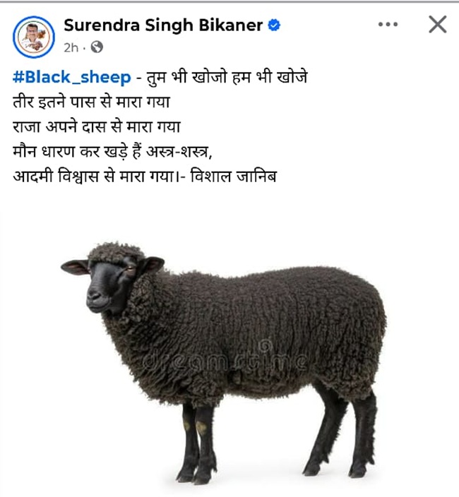 Dr Surendra Singh Shekhawat